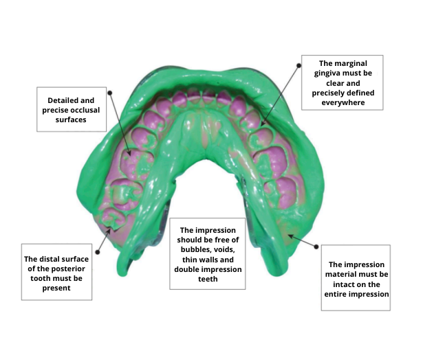 Detailed and precise occlusal surfaces Otisak
